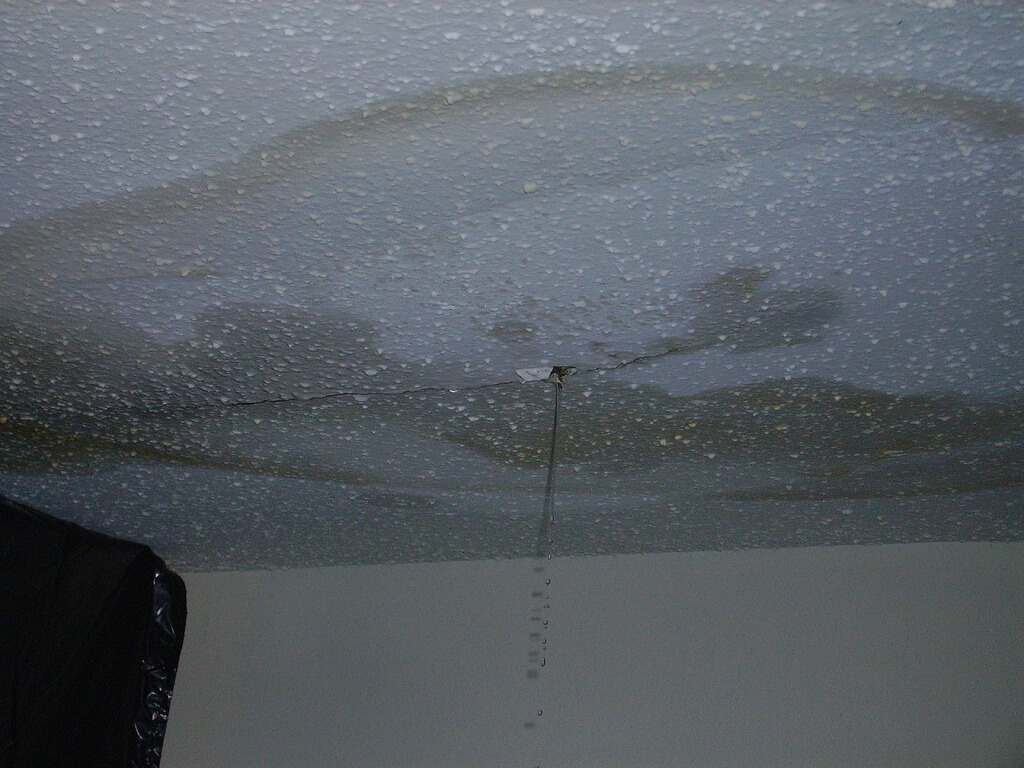 Ceiling Leak Repair